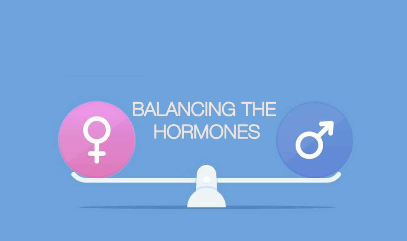 Balancing the Hormones