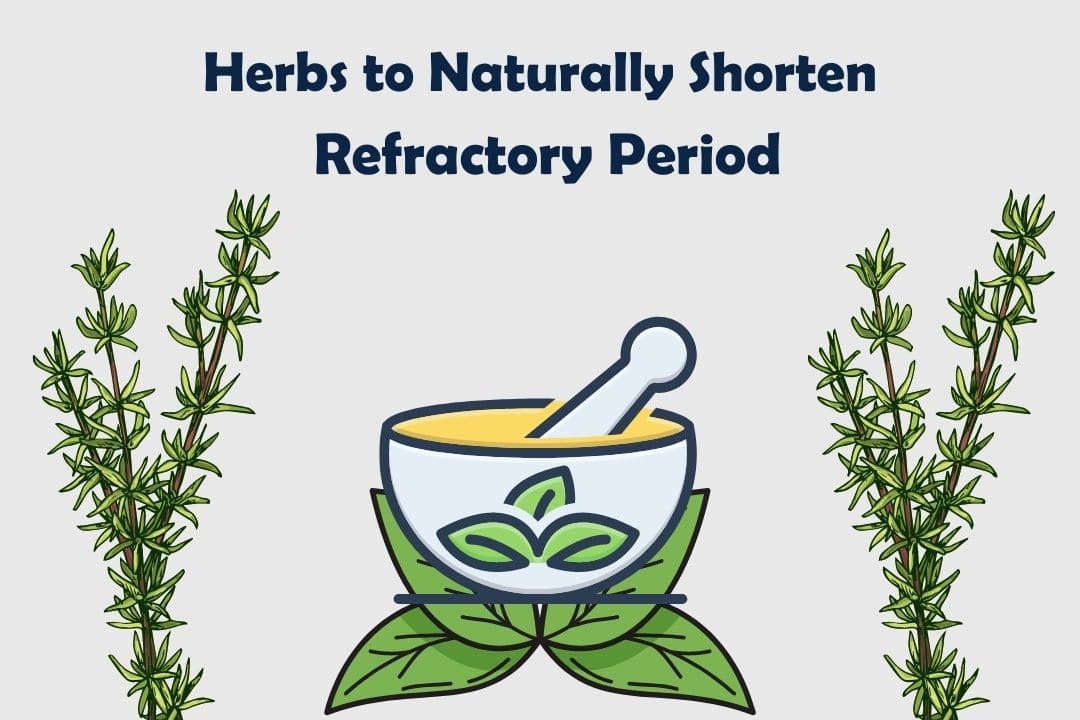 Herbs to Naturally Shorten Refractory Period