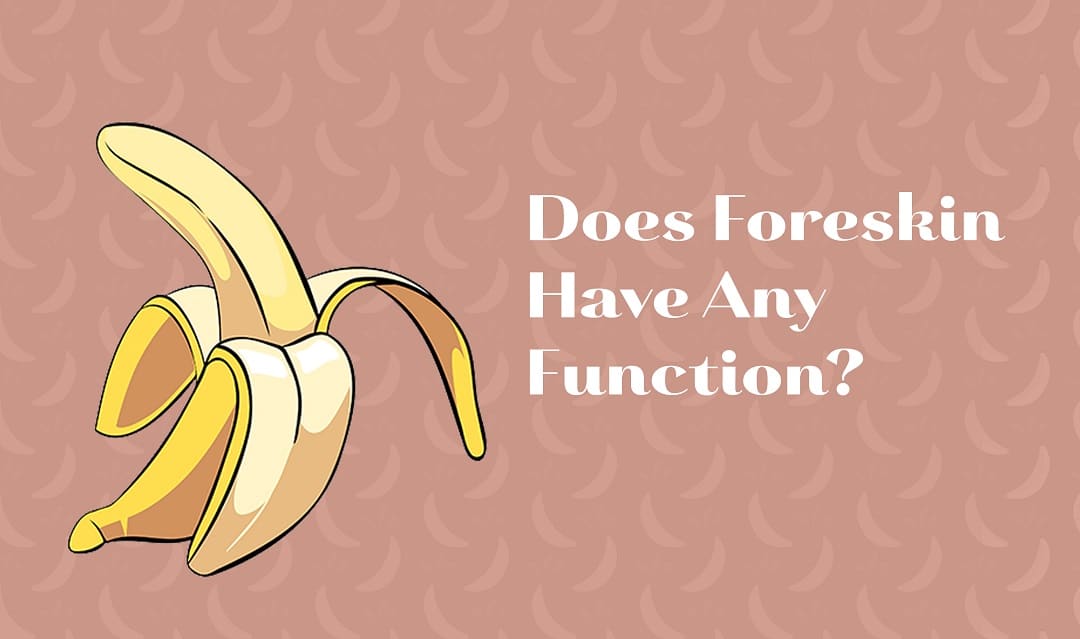 Does Foreskin Have Any Function