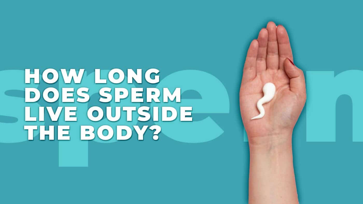 How long does sperm live outside the body