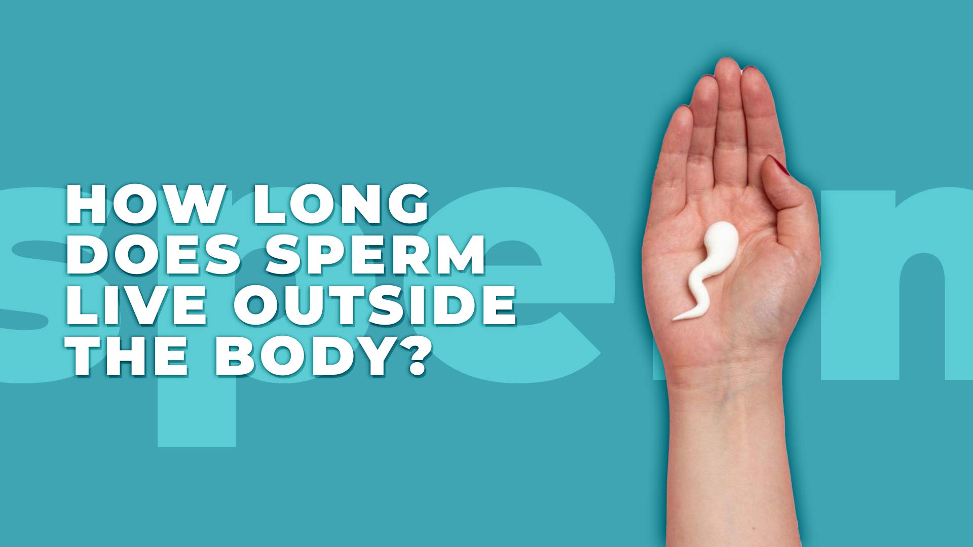 How Long Can Sperm Survive Outside the Body?